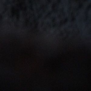 Meet your Posher, Mia